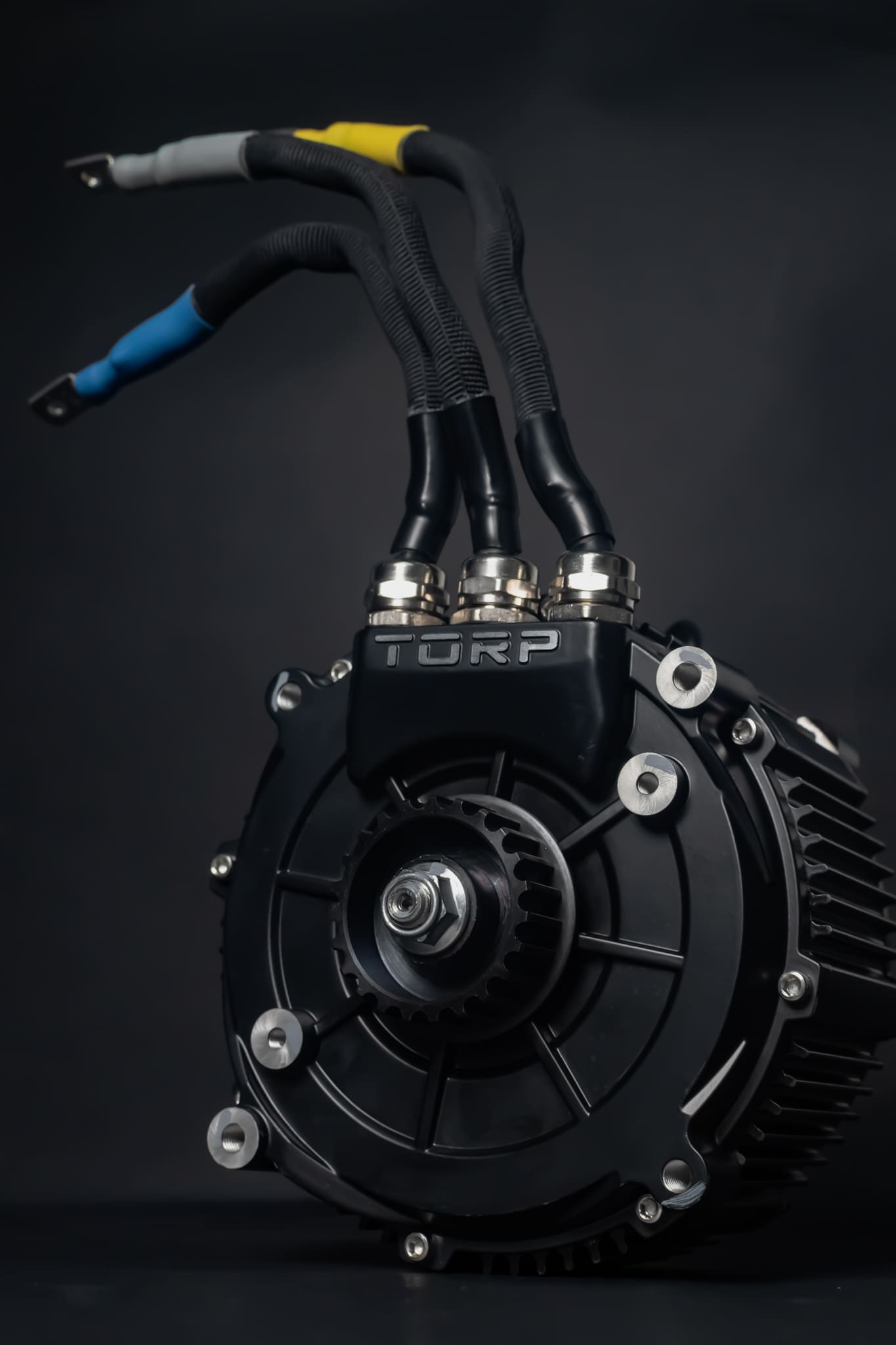 SILNIK TORP TM25 Surron Light Bee